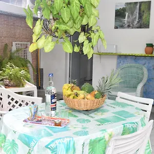 Coco Et Canne Port-Louis
